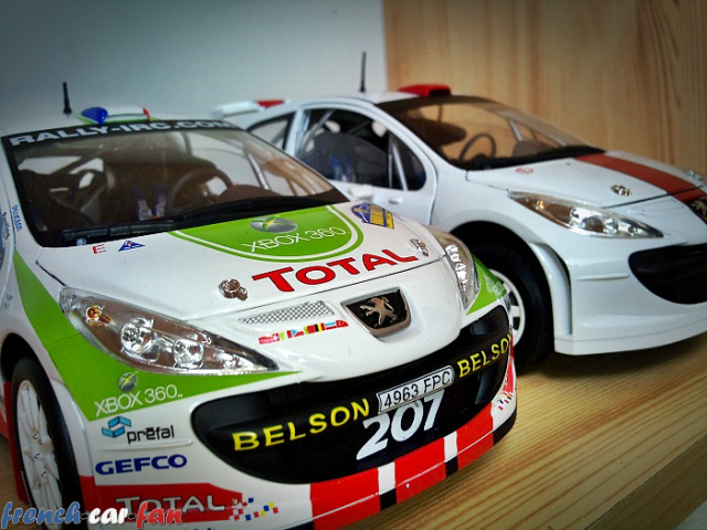 Peugeot 207 S2000 IRC Tamac és Gravel  (3).png