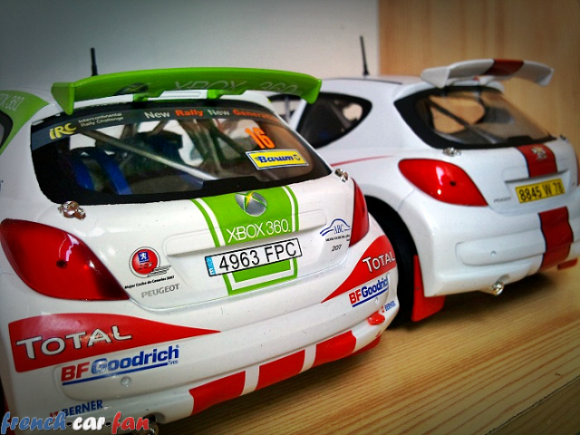 Peugeot 207 S2000 IRC Tamac és Gravel  (6).png