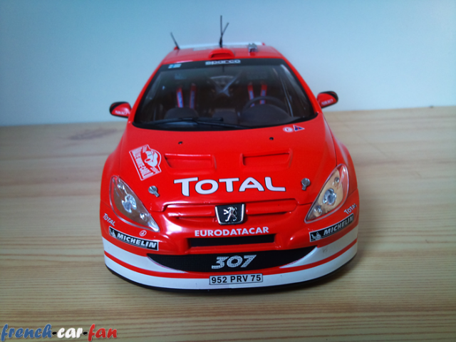 Peugeot 307 WRC Monte Carlo (3).png