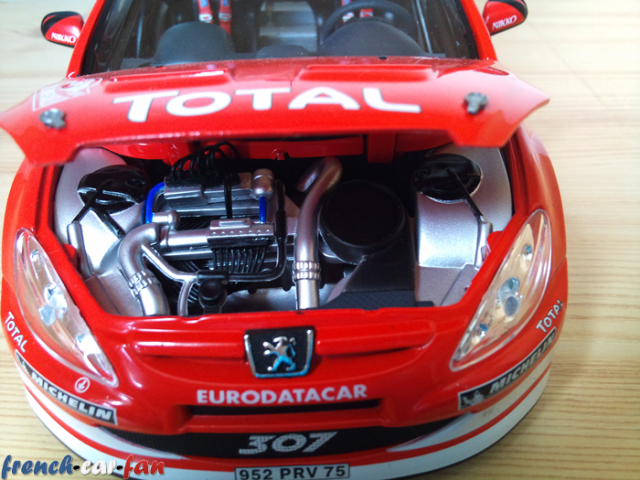 Peugeot 307 WRC Monte Carlo (9).png