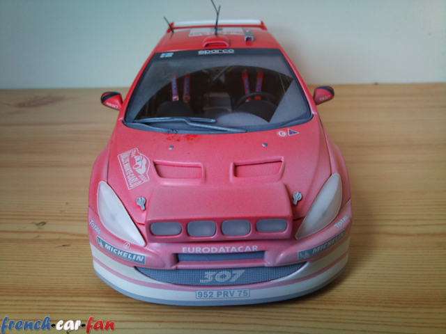 Peugeot 307 WRC Monte Carlo Snow (3).png