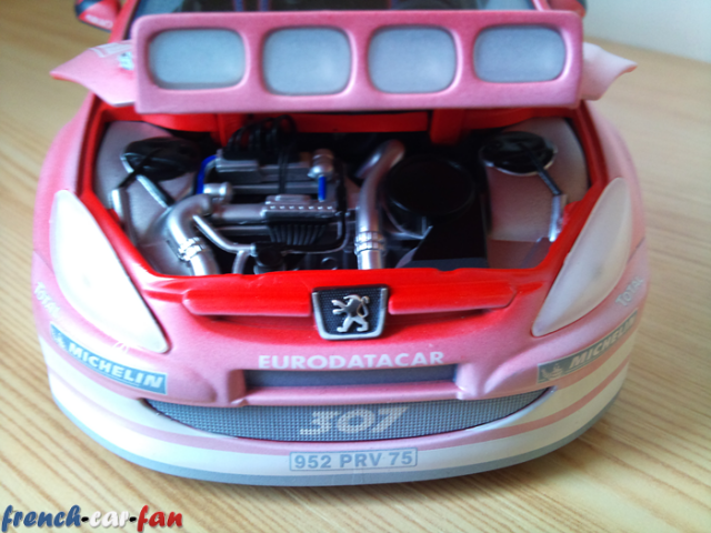 Peugeot 307 WRC Monte Carlo Snow (8).png