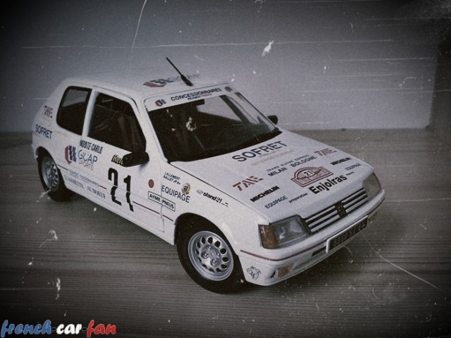 Peugeot 205 GTI Rally Monte Carlo (1).jpg