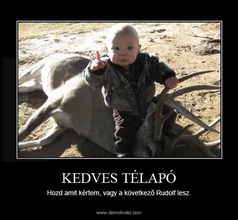 Rudolfnak annyi!.png