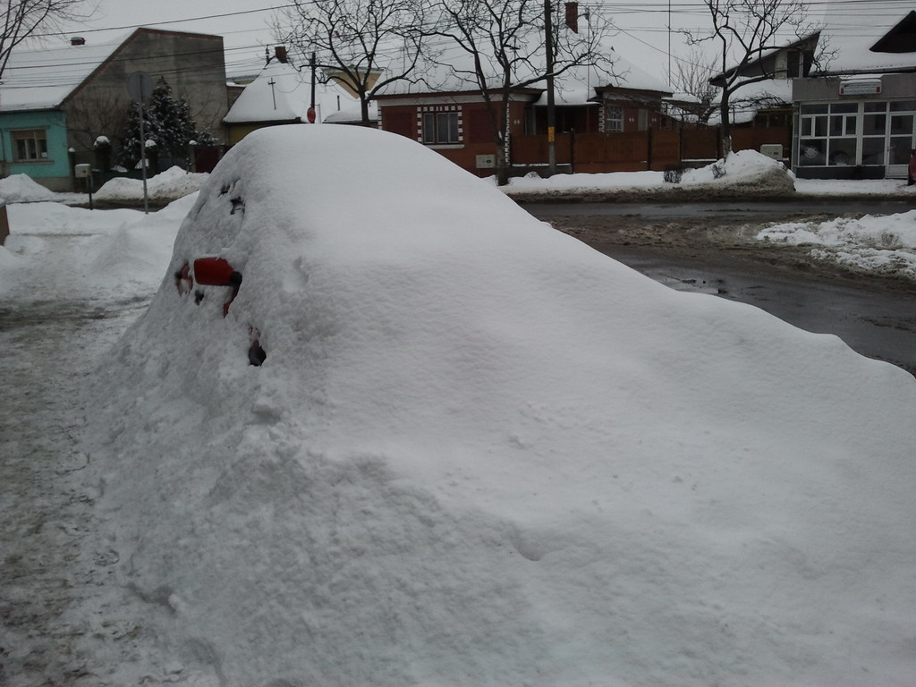 2012-02-18 15.20.55.jpg