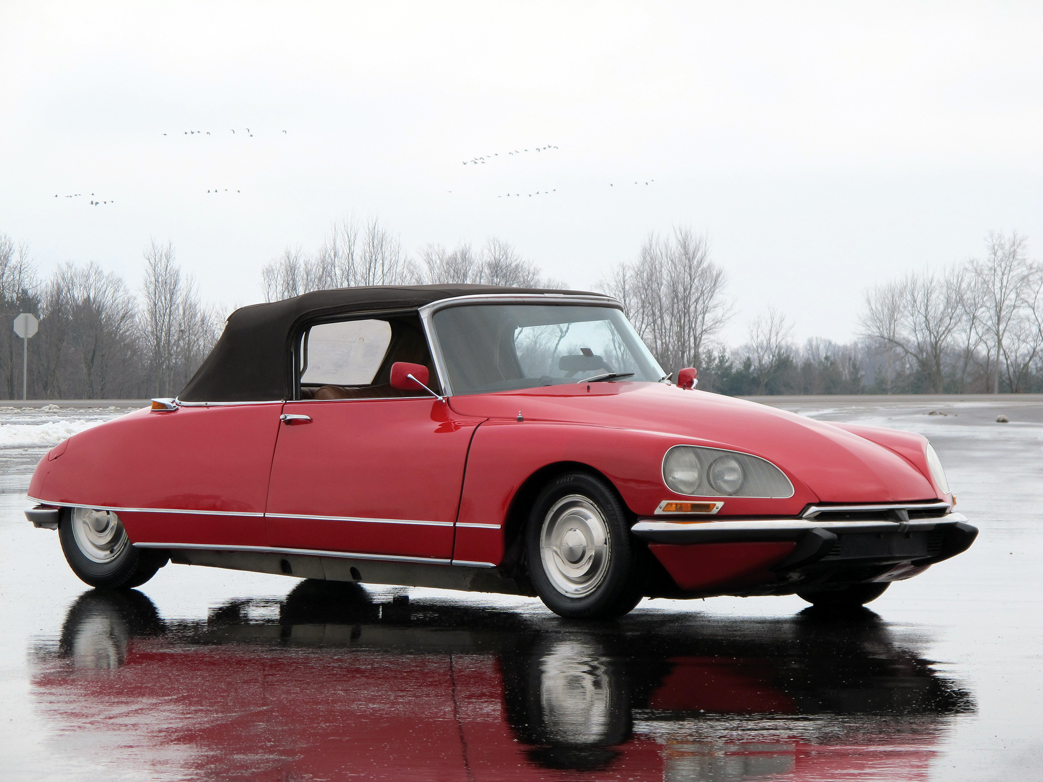 autowp.ru_citroen_ds_19_cabriolet_12.jpg